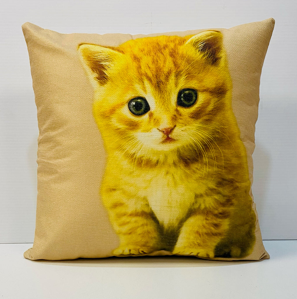 Baby Kitten Pillow